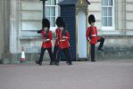PICTURES/Buckingham Palace/t_Buckingham Palace Guards9.JPG